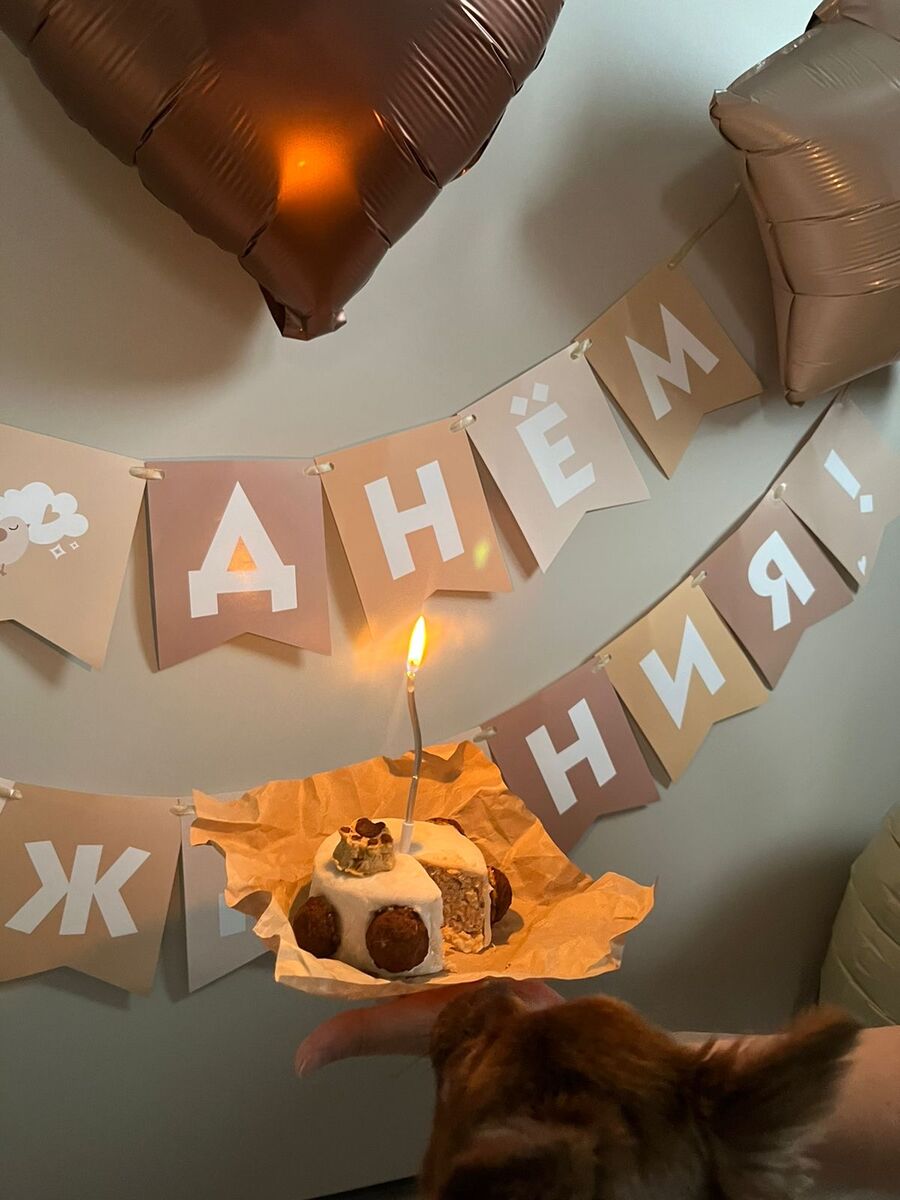 Торт для питомца